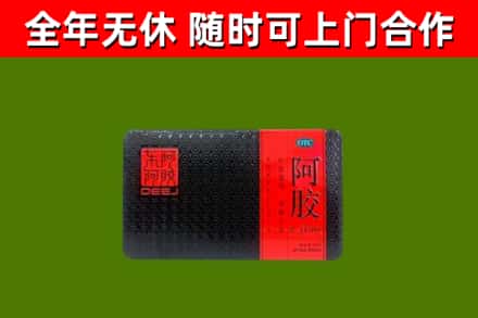 赣县区回收阿胶